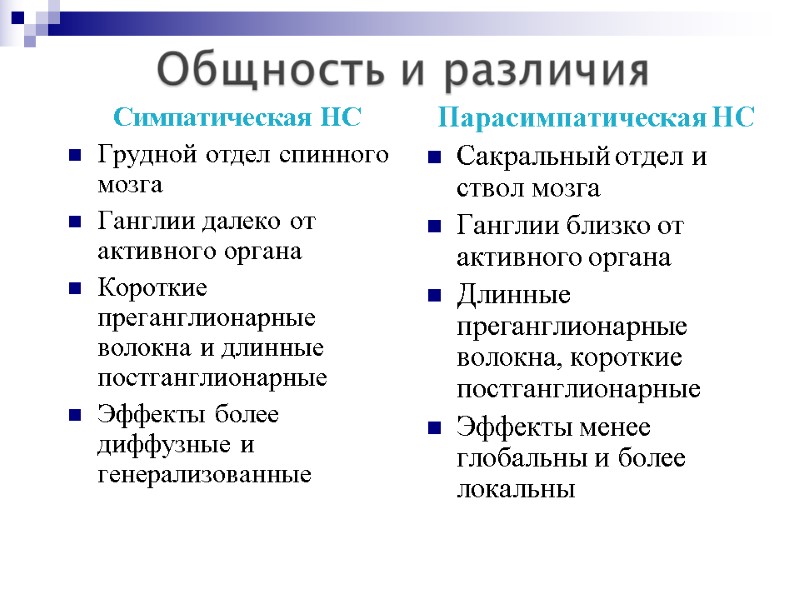 Симпатическая НС Грудной отдел спинного мозга Ганглии далеко от активного органа Короткие преганглионарные волокна